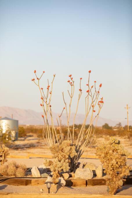 Sun Runner - Serene Desert Home W/Pool & Hot Tub Twentynine Palms Exteriér fotografie